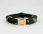 Green feather velvet dog collar with gold buckle and feather pattern