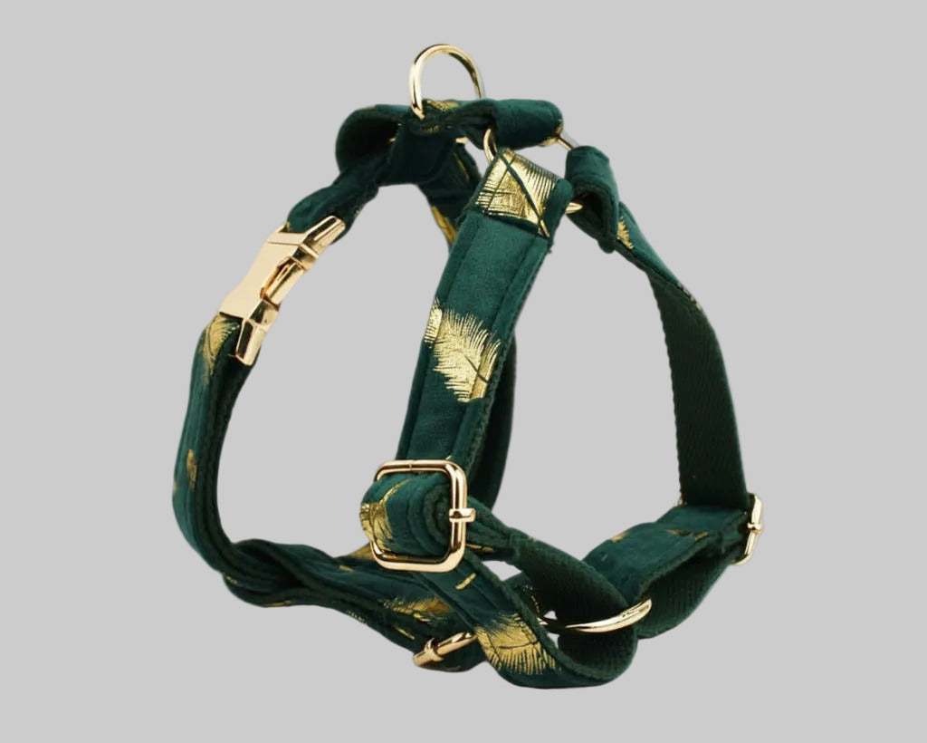 Green feather velvet harness set with gold rings and buckle hardware