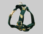 Green feather velvet harness set with gold rings and buckle hardware