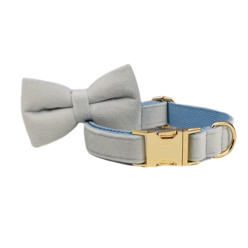 Light blue velvet bowtie collar with gold buckle and D-ring, close-up