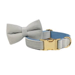 Light blue velvet bowtie collar with gold buckle and D-ring, close-up