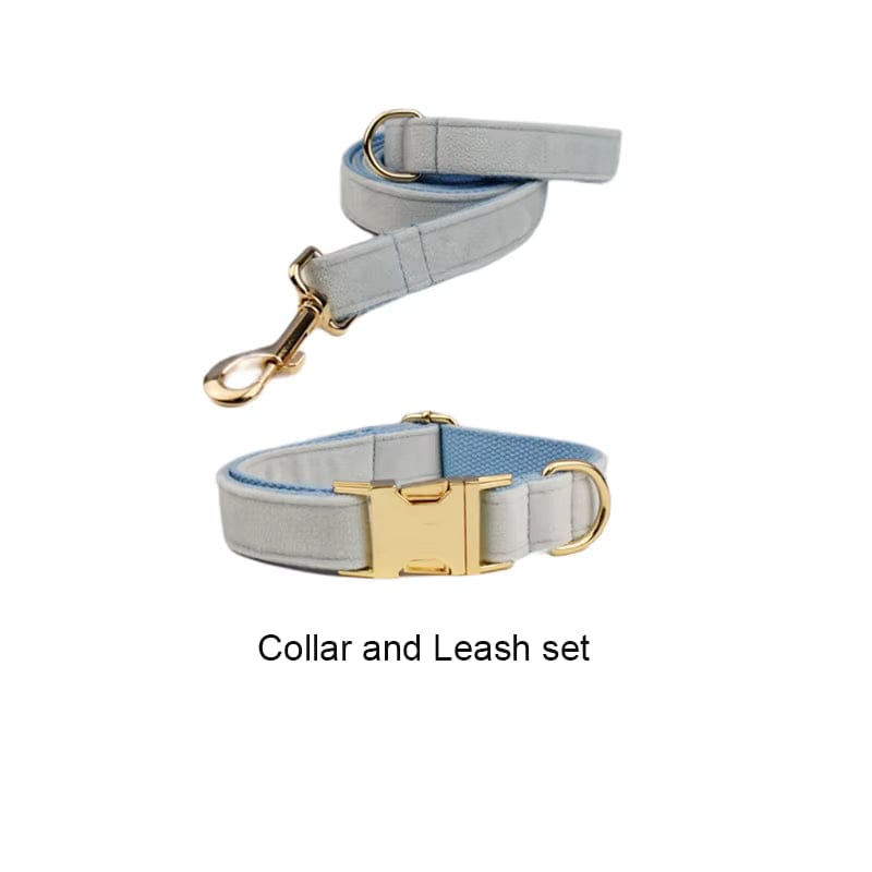Light blue velvet collar and leash set with gold buckle and metal rings