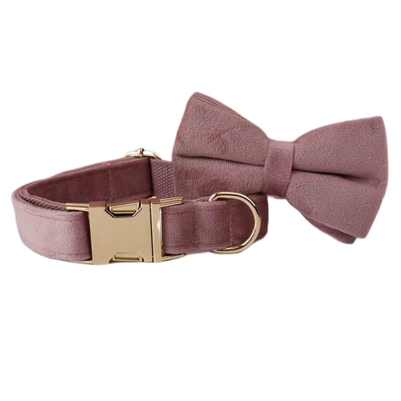Light purple velvet dog collar with gold buckle and matching bowtie