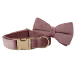 Light purple velvet dog collar with gold buckle and matching bowtie