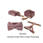Light purple velvet dog set with harness, bowtie collar, and leash
