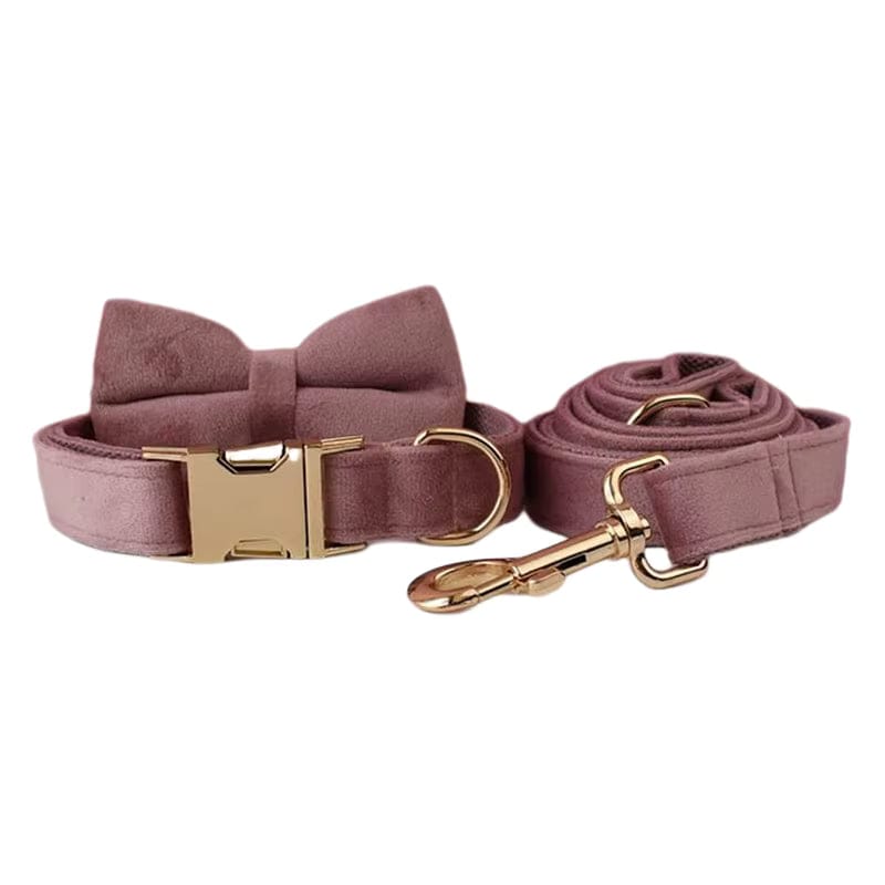 Light purple velvet bowtie collar and matching leash with gold hardware