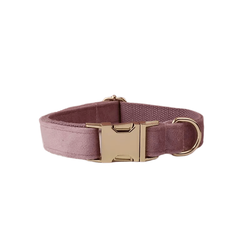 Velvet dog collar in light purple with gold buckle and D-ring clasp