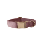 Velvet dog collar in light purple with gold buckle and D-ring clasp