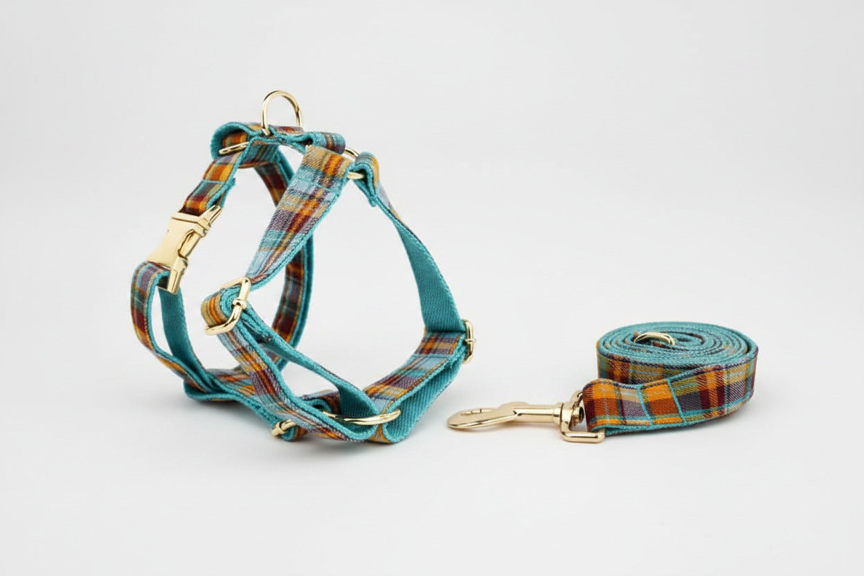 Plaid harness with leash, teal straps, and gold-tone clips