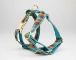 Plaid dog harness with gold-tone buckles and teal webbing straps