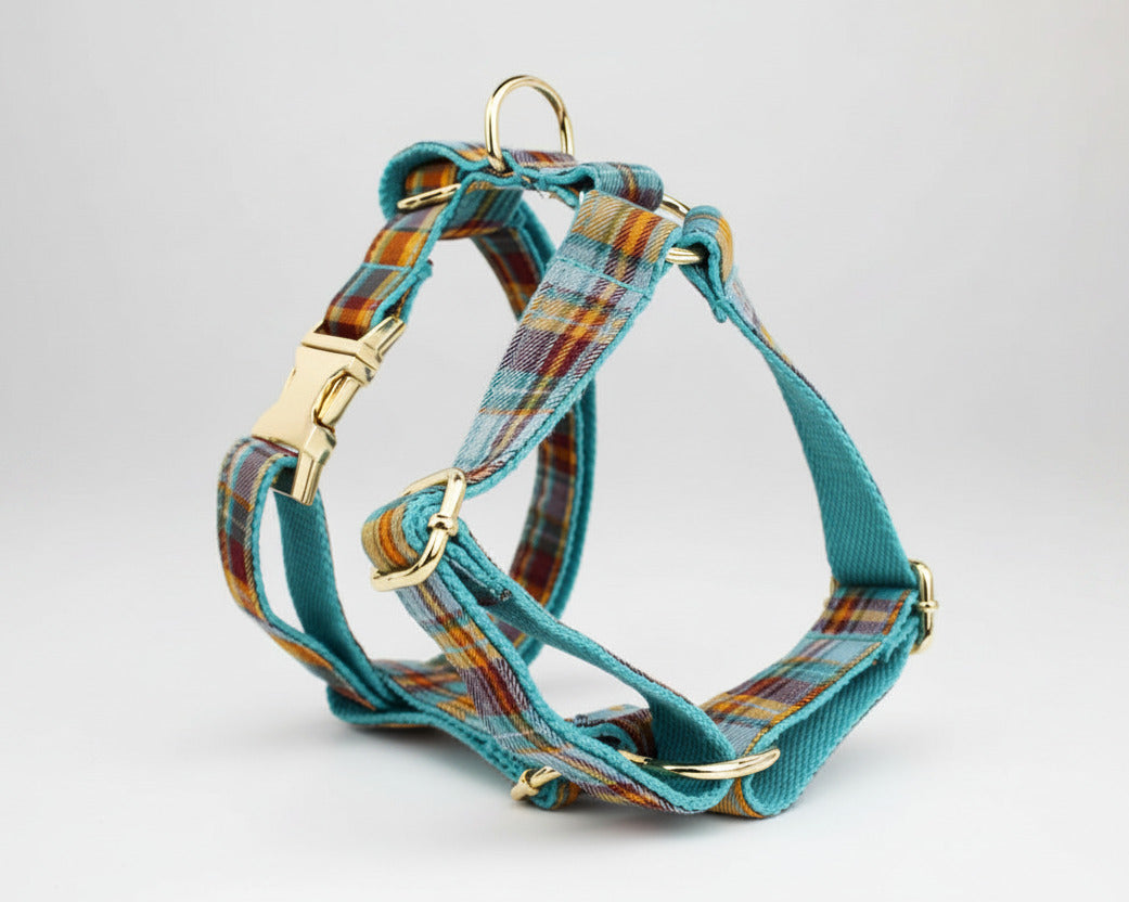 Plaid dog harness with gold-tone buckles and teal webbing straps