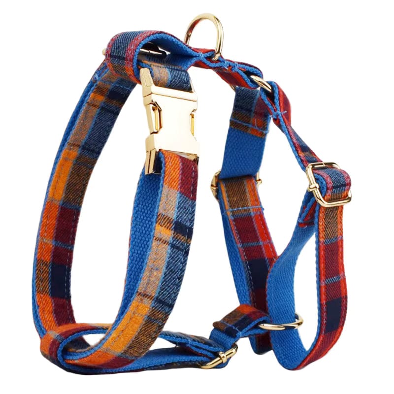 Plaid dog harness with gold-tone buckles and leash rings, red-blue check pattern