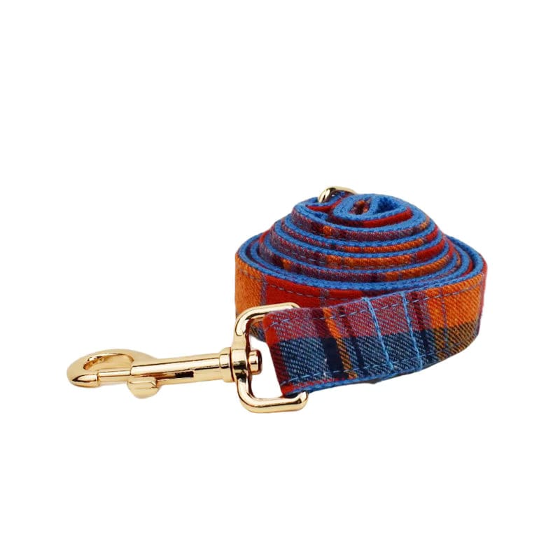 Plaid dog leash with gold-tone hook clip and coiled strap, red-blue-orange checks