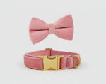 Pink velvet dog collar with gold buckle and matching bowtie