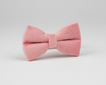 Pink velvet bow collar accessory in soft pink with matching band