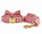 Pink velvet set: bowtie collar with pink leash and gold hardware