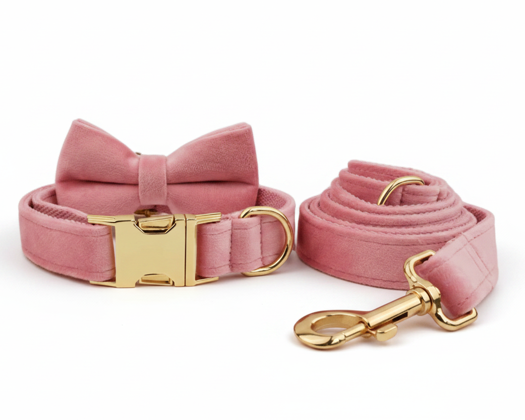 Pink velvet set: bowtie collar with pink leash and gold hardware