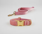 Pink velvet collar and leash set with gold buckle and clasp