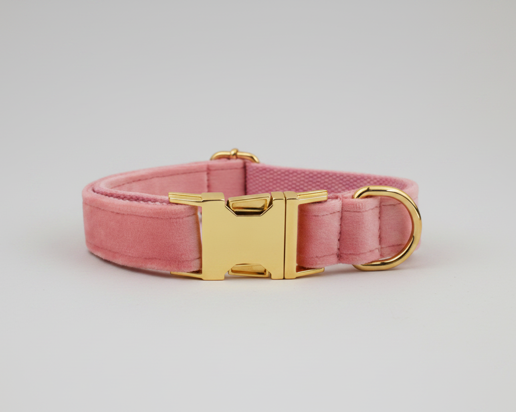 Pink velvet dog collar close-up with gold buckle and bowtie