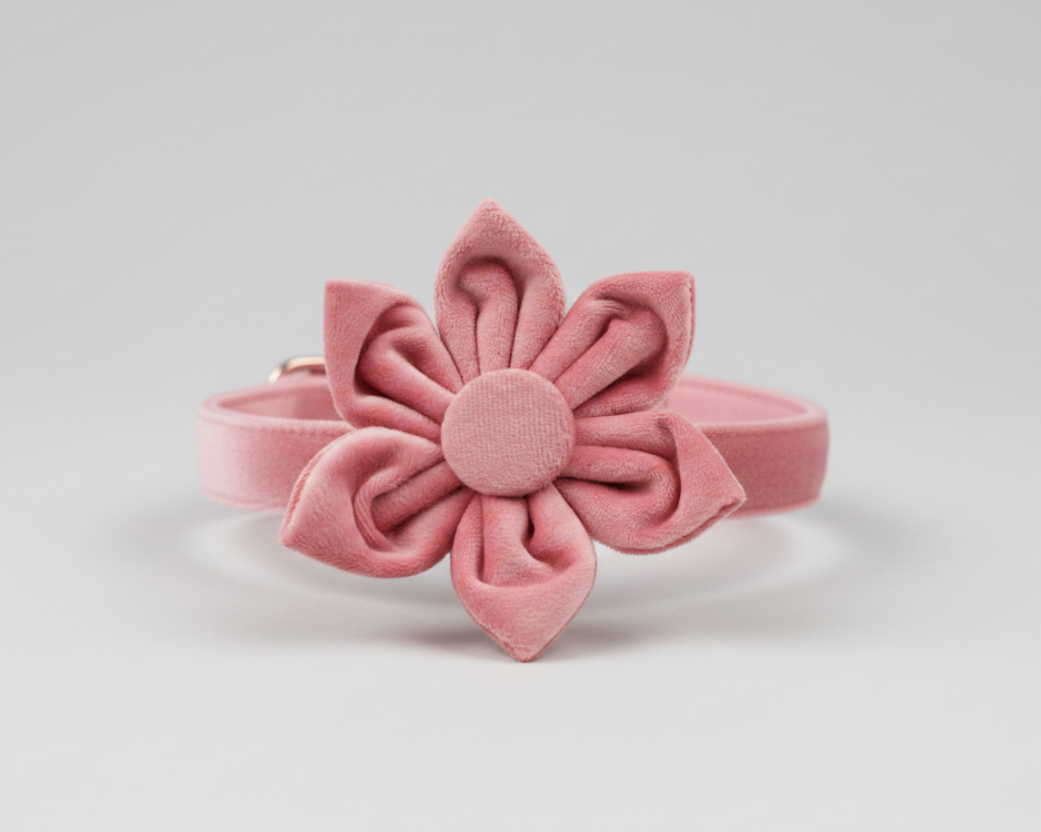 Pink velvet floral bow collar with soft pink band and gold accents
