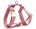 Pink velvet dog harness with gold square buckle and D-ring loops