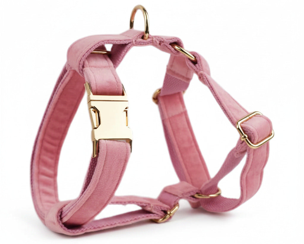 Pink velvet dog harness with gold square buckle and D-ring loops