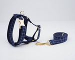 Plaid Dark Blue Set: kariertes Hundegeschirr mit Leash und goldenen Schnallen