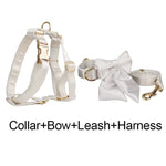 White satin collar, bow tie, leash, and harness set with gold hardware