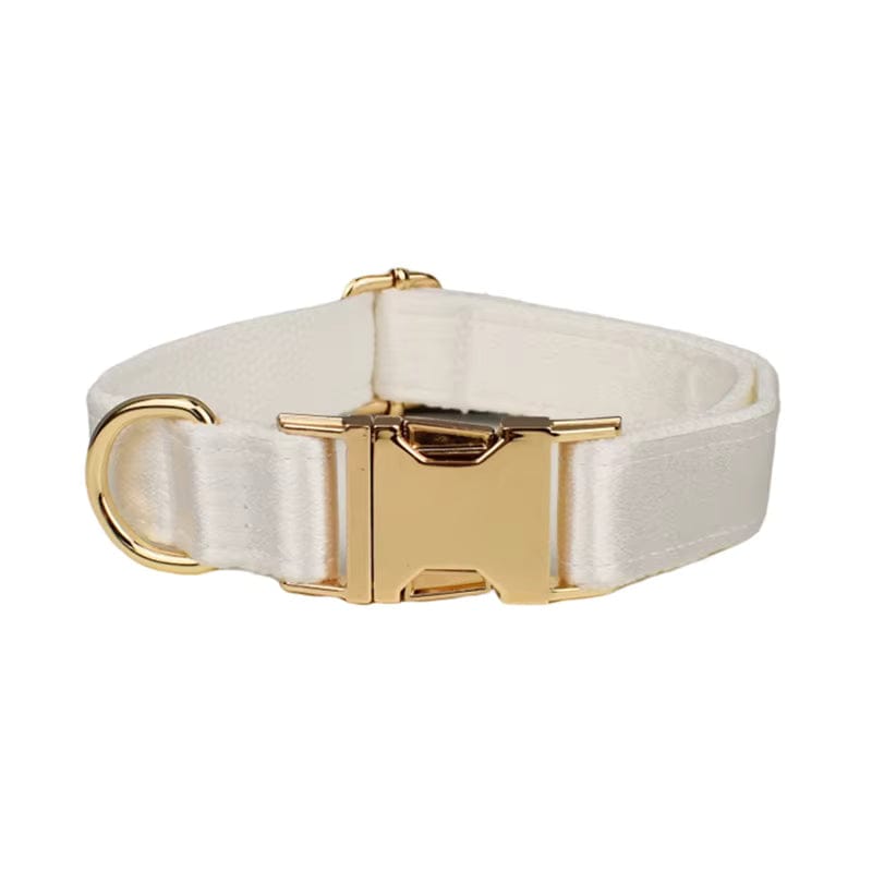 White satin dog collar with gold buckle and rectangular tag detail