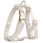 White satin pet harness with gold hardware and front strap buckles