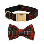 Red tartan pet collar with gold buckle and matching bow tie