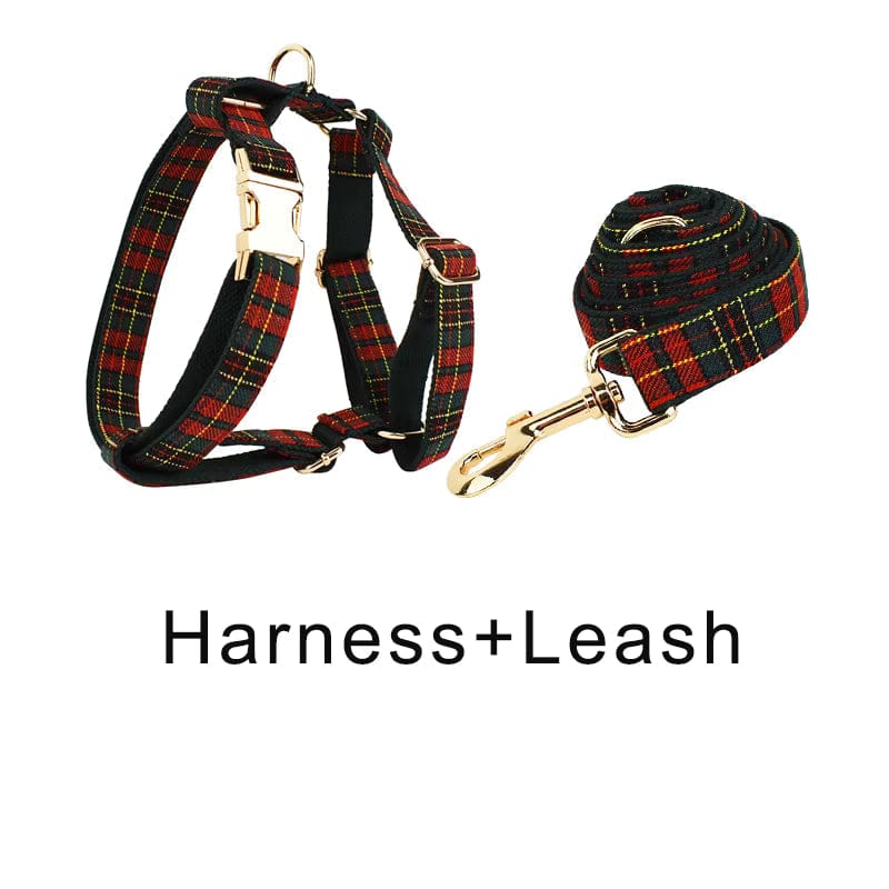 Red tartan harness and leash set with gold buckles and clips