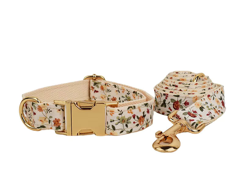 Floral dog collar with matching leash set, ivory base with small blossoms and gold hardware