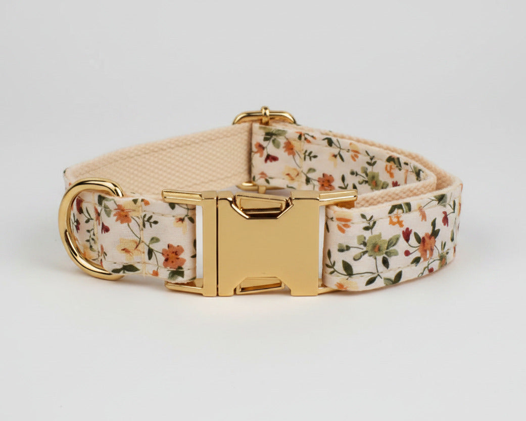 Ivory floral dog collar with gold metal buckle and D-ring hardware