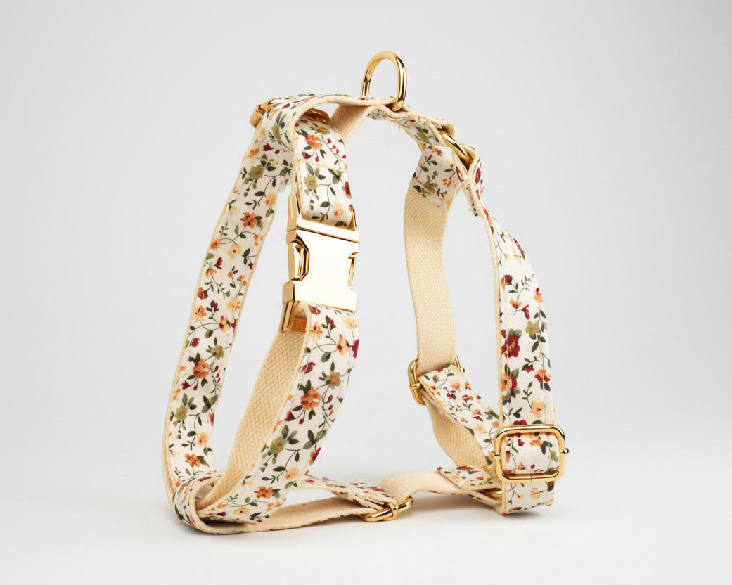 Ivory floral dog harness with gold buckles and matching trim