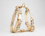 Ivory floral dog harness with gold buckles and matching trim