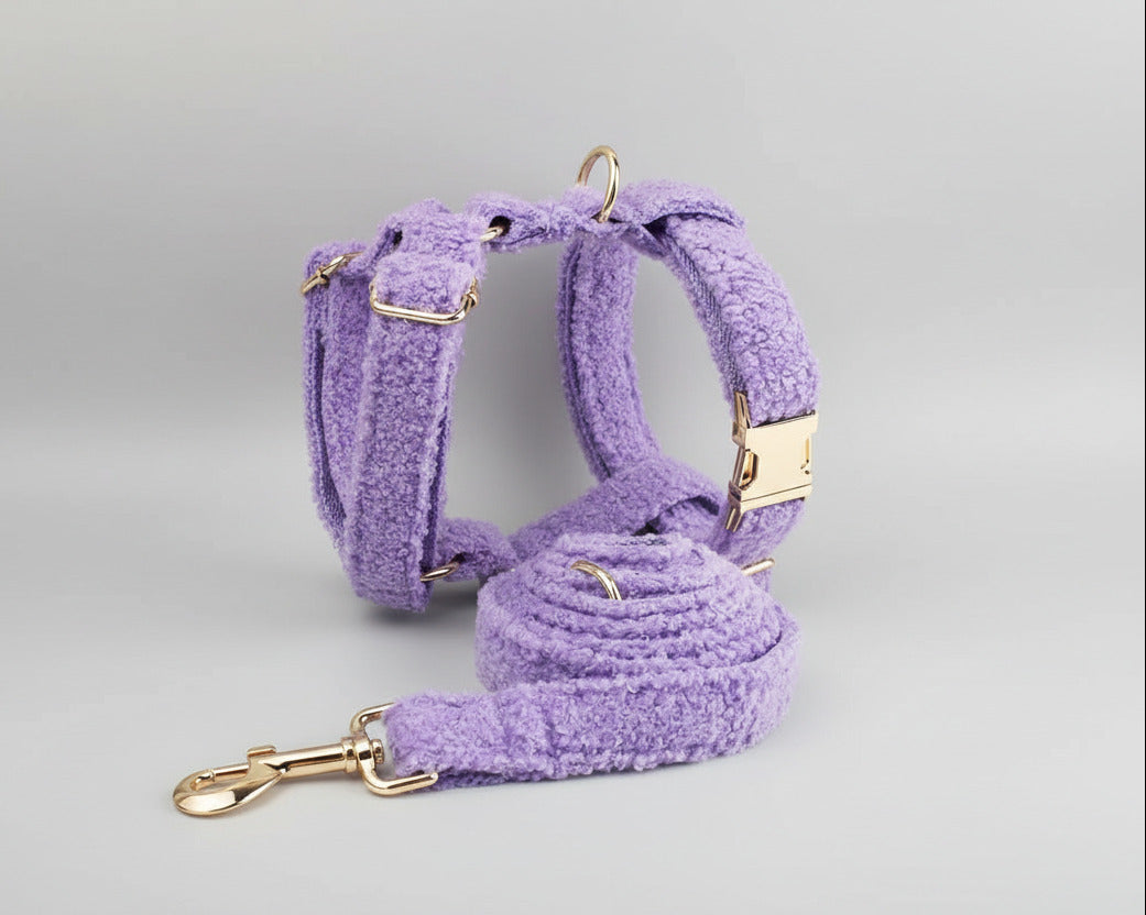 Purple teddy plush harness and leash with gold hardware, laid out