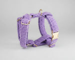 Purple teddy harness with gold buckle and attachment rings, matching teddy straps