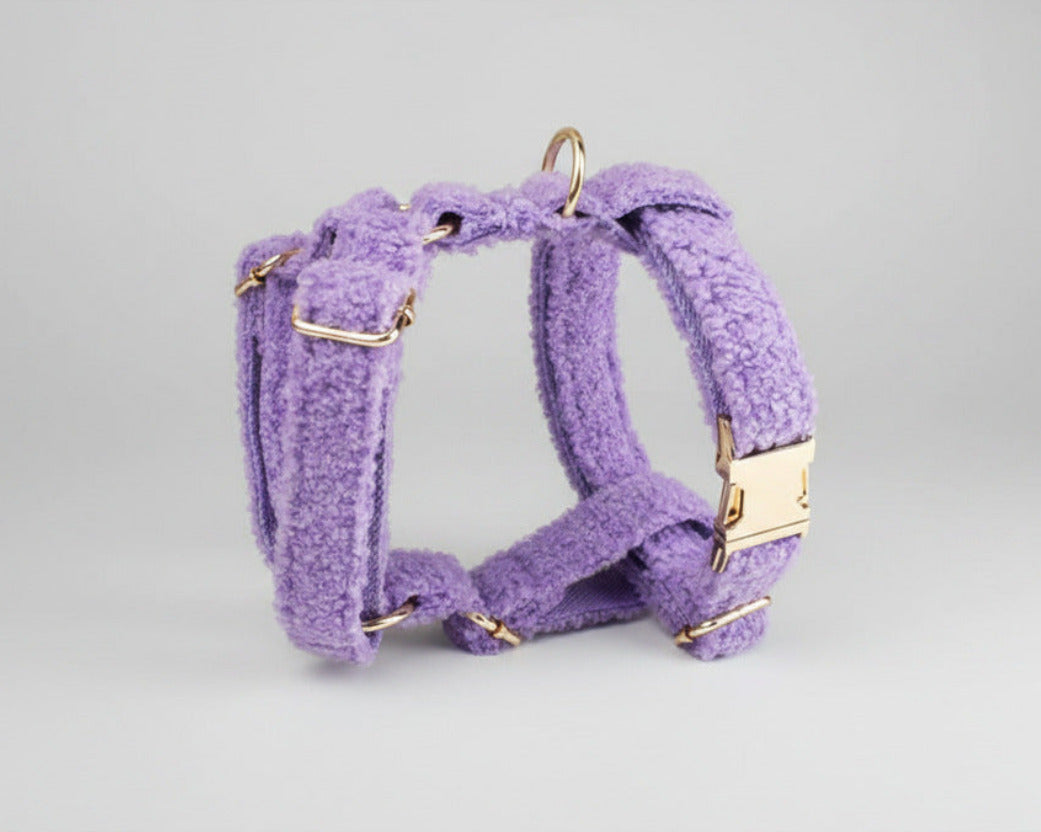 Purple teddy harness with gold buckle and attachment rings, matching teddy straps