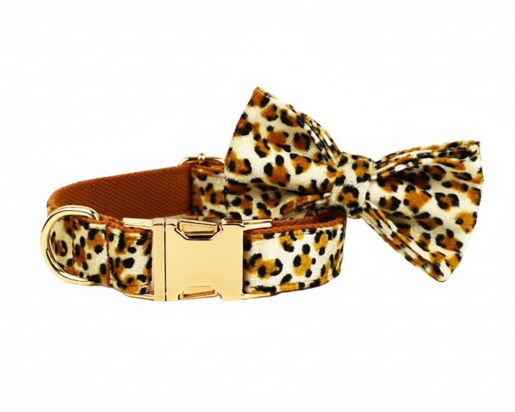 Velvet leopard collar with brown band and matching bow tie