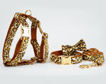 Velvet leopard harness set with bow tie collar, leash, and matching accessories