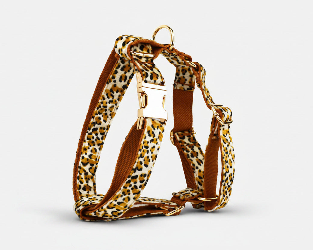 Velvet Leopard Geschirr mit Leopardenband und goldenen Klickverschlüssen