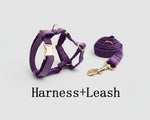 Velvet Purple harness with leash and matching gold hardware