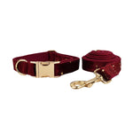 Wine velvet dog collar with gold star accents and matching leash strap