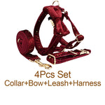 Velvet 4-piece pet set with collar, bow, leash, and harness; dark wine and gold stars