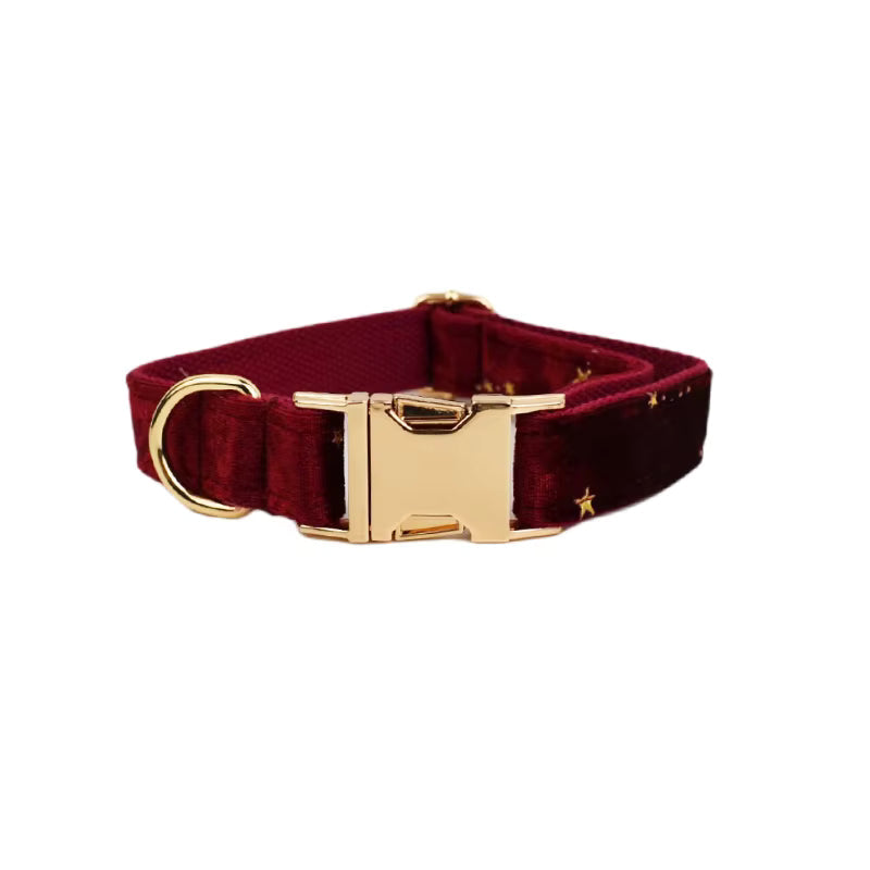 Wine velvet dog collar with gold star accents and gold-tone buckle