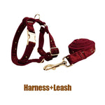 Velvet dog harness and matching leash in dark wine with gold star accents