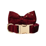 Velvet dog bowtie collar in dark wine red with gold star pattern and brass buckle