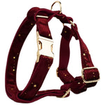 Velvet wine dog harness with gold star pattern and gold-tone hardware