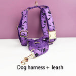 Purple dog harness and leash set with gold buckles and Halloween bat print